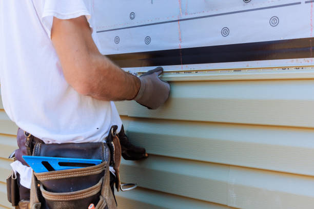 Affordable Vinyl Siding solutions in Lebanon, IL